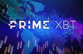Understanding PrimeXBT Risk Disclosure Essential Insights for Traders