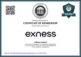 How to Set Up Exness Apk On Your Device 15 How to Set Up Exness Apk On Your Device 15